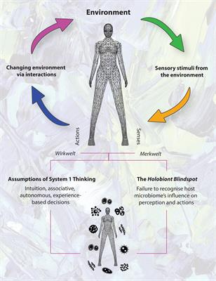 The Holobiont Blindspot: Relating Host-Microbiome Interactions to Cognitive Biases and the Concept of the “Umwelt”